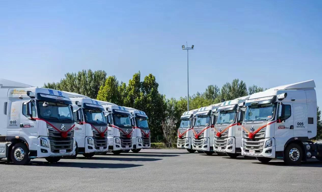Domestic and project freight operations
